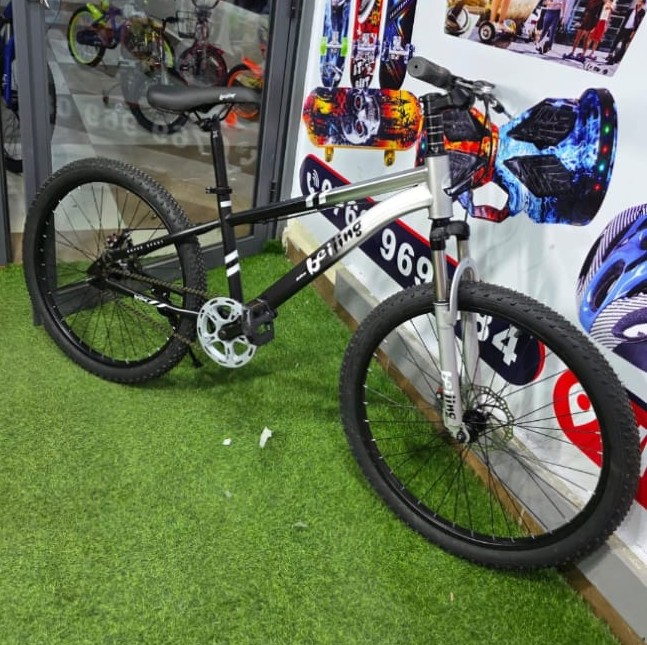 Beijing size 24 fly bike