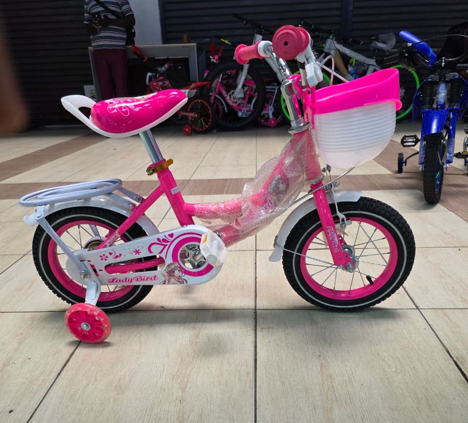 Lady Bird size 12 Kids Bicycle with Basket and Training Wheels – Pink/White