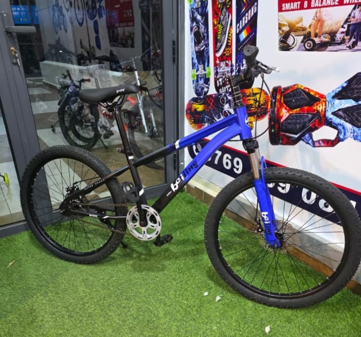 Beijing size 24 fly bike